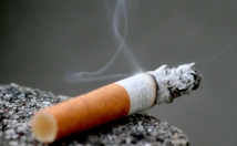 نوشتن-متون-ادبی-کوتاه-بلند-تمام-ژانرها-المان-دلخواه