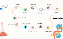 پاورپوینت-عالی-تحویل-یک-خاطره-ارائه-شیرین-باشین