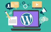 وردپرس-سایت-راه-اندازی