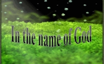 فایل-انگلیس-تبدیل-متن-فارسی