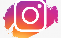 فروش-فالور-فیک-ارزان-کیفیت-k