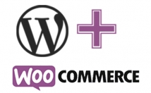 وب-سایت-وردپرسی-صورت-کامل-راه-اندازی-اونو-سئو-بهینه