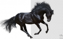 زمینه-تصاویر-انواع-لگو-حذف