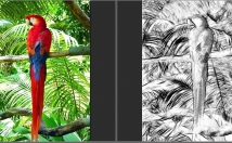 تصاویرتونو-تبدیل-طرح-نقاشی