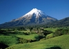 alireza_515
