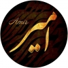 amir133kianina-53