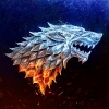 arya252