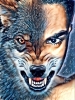 amirmohammad.0619
