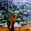 asemanes20