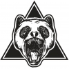 rayanteam
