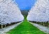 ghasem77775555