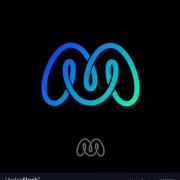 mahdiabbasi1-36