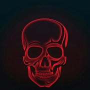 shirwanshe-25