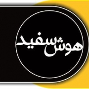 amir.enginee64