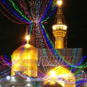 alizarkesh19