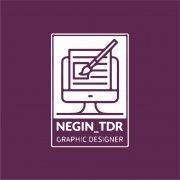 negin_tdr