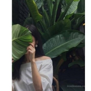 ngnnm-72