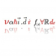 M.M.V.F2004