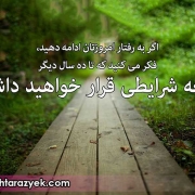 samineh1380