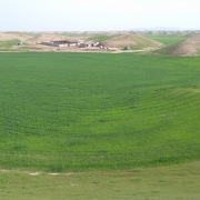 hesamiran13