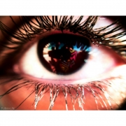 fateme_Ajerli