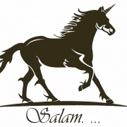 Salam.K