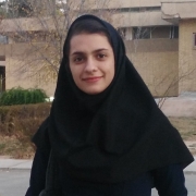Z.Aray