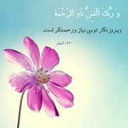 amirjalali7-70